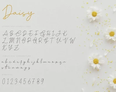 Daisy - Modern Script Font