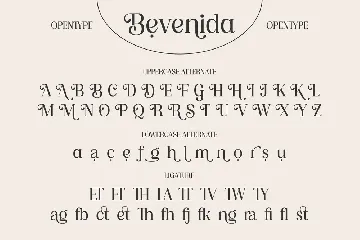 Bevenida - A Modern Stylish Serif font