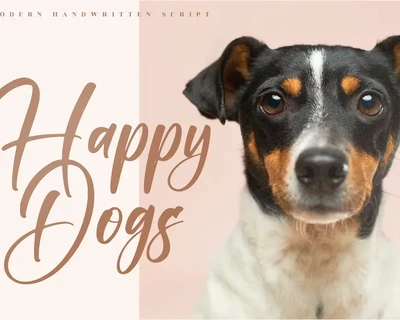 Valenttino Modern Handwritten Script font