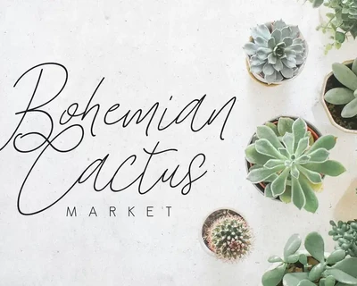 Stars & Rabit Script font