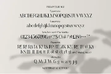 Romelu Vomelu - Modern Serif font