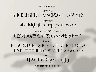Romelu Vomelu - Modern Serif font