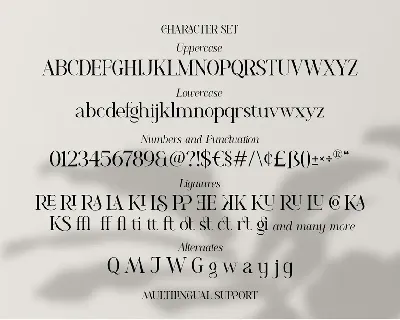 Romelu Vomelu - Modern Serif font