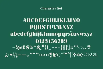 Kalgista Serif Display Font