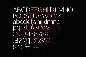 Qhuerto - Modern Serif Font