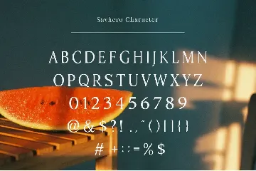 Savhero - Nostalgic Elegant Serif font