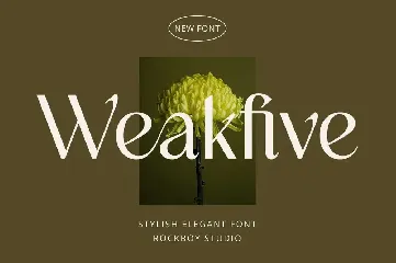 Weakfive - Modern Stylish font