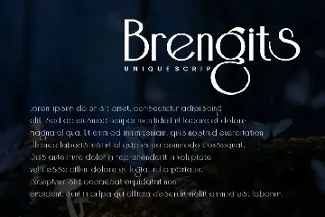 Brengits - Sans Serif Font