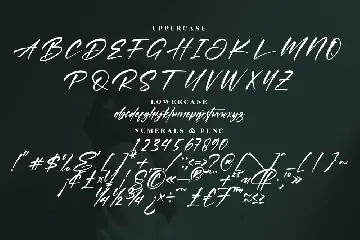 Portillo Bryant Modern Script Font