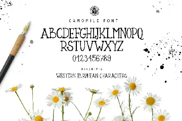 Camomile font