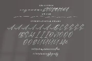 Polesteria Modern Signature Font