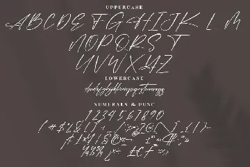 Polesteria Modern Signature Font