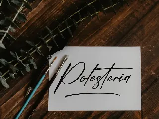 Polesteria Modern Signature Font