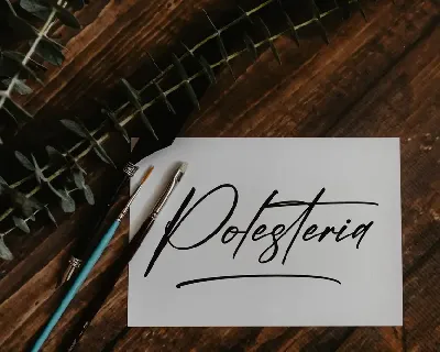 Polesteria Modern Signature Font