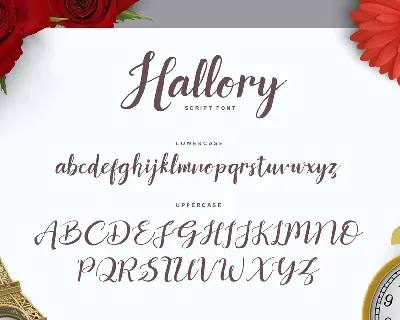 Hallory Font