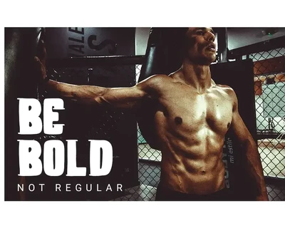 Boxer Typeface font