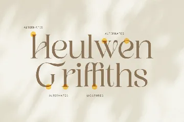 Graphire Modern Elegant Serif font