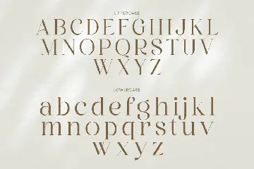 Graphire Modern Elegant Serif font