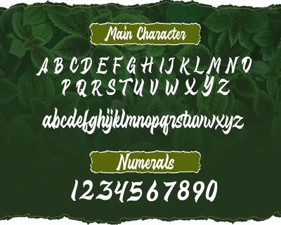 Distropica Display Font