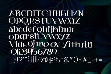 Vigriova - Serif Font