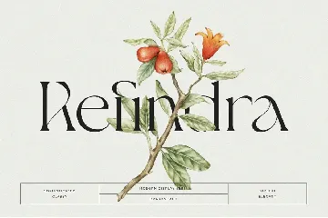 Giflika // Modern Display Serif font