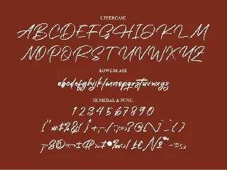 Prechley Modern Signature Font