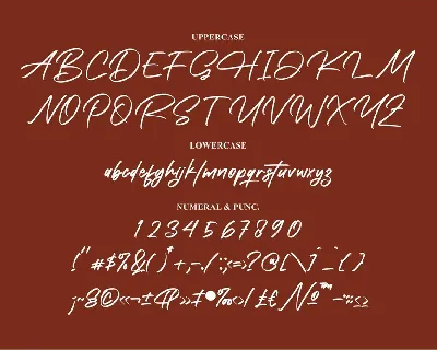 Prechley Modern Signature Font