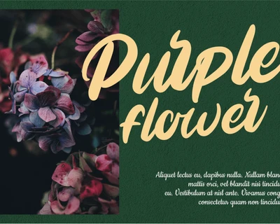 Sorelay Beautymist font