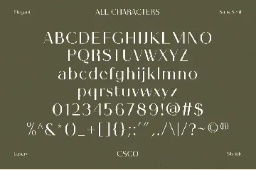 Kalesi - Elegant Sans Serif font