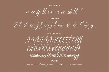 Monttany Castelone Beautiful Script Font