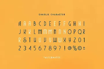 Vintage Modern Font - Charlie