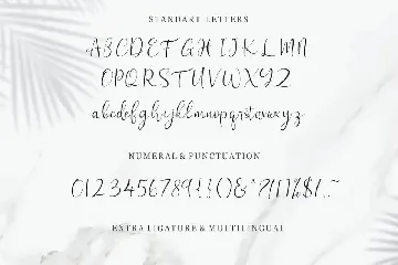 Freya - Modern Calligraphy Font