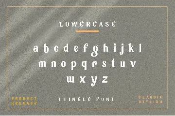 Tingle Modern Classy Font