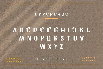 Tingle Modern Classy Font