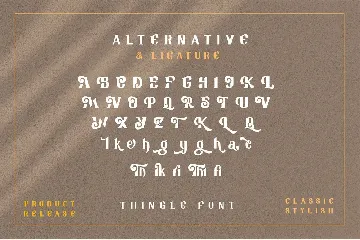 Tingle Modern Classy Font