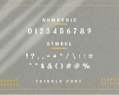 Tingle Modern Classy Font