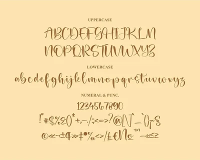 Handly Rottery Handwritten Script Font