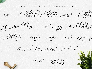 Endita Handwritten Font