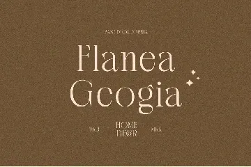 Canesa Elegant Serif Font