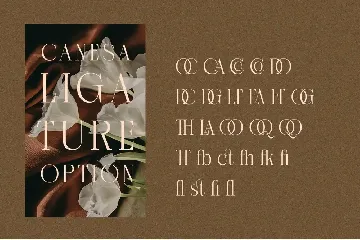 Canesa Elegant Serif Font