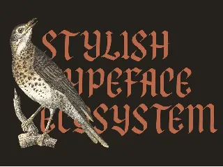 NCL FEGAKINES - Unique Stylish Blackletter font