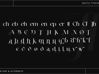 Quitle Sans Serif  Font