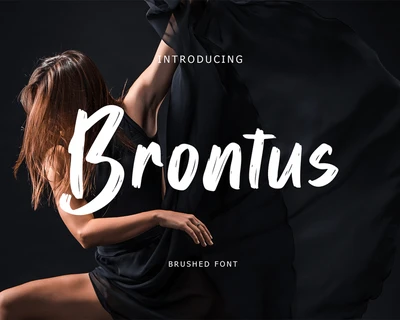 Brontus Brush Font