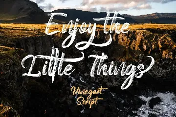 Vinegart - Handwritten Font