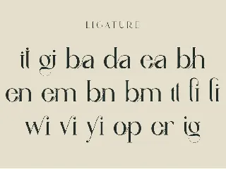 Vindea Ligature Serif Typeface font