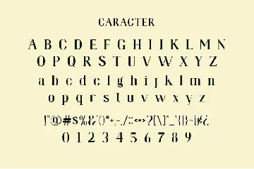 Bragita Ligature Serif Typeface font