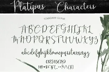 Platipus Script font