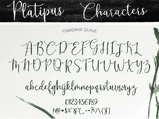 Platipus Script font