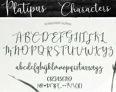 Platipus Script font