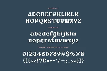 Morgian Soft Serif font